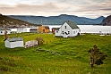 Newfoundland No-0407